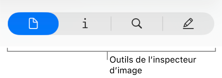 Outils de l’inspecteur de fichiers PDF.