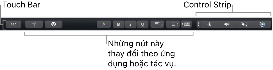 Touch Bar dọc theo cạnh trên cùng của bàn phím, đang hiển thị Control Strip được thu gọn ở bên phải và các nút thay đổi theo ứng dụng hoặc tác vụ.