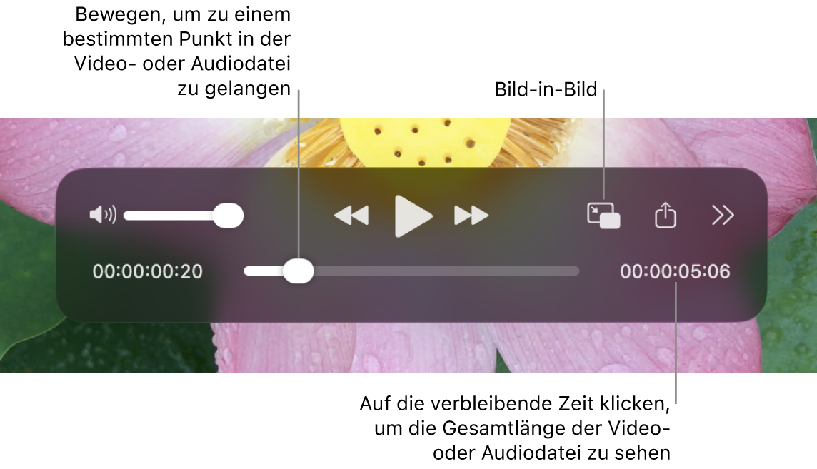 Die QuickTime-Wiedergabesteuerungen Oben befinden sich der Lautstärkeregler, die Rückspultaste, die Taste „Wiedergabe/Pause“, die Taste für den schnellen Vorlauf, das Menü für die externe Wiedergabe, die Taste für die Wiedergabe im Bild-in-Bild-Modus und die Taste „Weitere Steuerelemente“. Unten befindet sich die Abspielposition, die du bewegen kannst, um zu einem bestimmten Punkt in der Datei zu gelangen Die verbleibende Wiedergabedauer der Datei wird unten rechts angezeigt