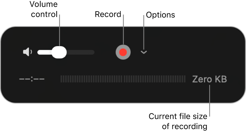 The recording controls, including the volume control, the Record button and the Options pop-up menu.