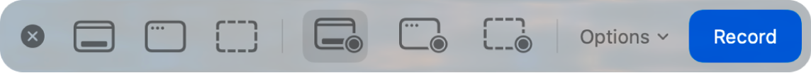 Screenshot tools with the Record button on the right and the Options pop-up menu next to it.