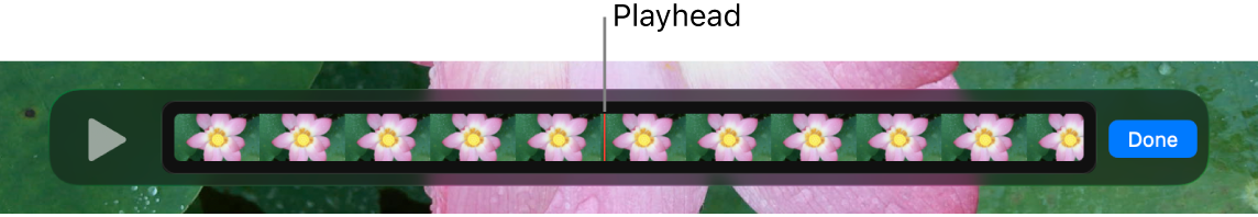 A clip in the QuickTime Player window, with the playhead near the center of the clip.