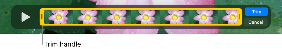 A clip in the QuickTime Player window, showing part of the clip enclosed in the yellow handles, and the rest of it outside the yellow handles. The Trim button and the Cancel button are at the right.