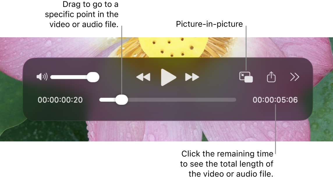 The QuickTime Player playback controls. Along the top are the volume control, the Rewind button, Play/Pause button, Fast-Forward button, External Playback Menu, Picture-in-Picture Playback button, and the More Controls. At the bottom is the playhead, which you can drag to go to a specific point in the file. The time remaining in the file appears at the bottom right.