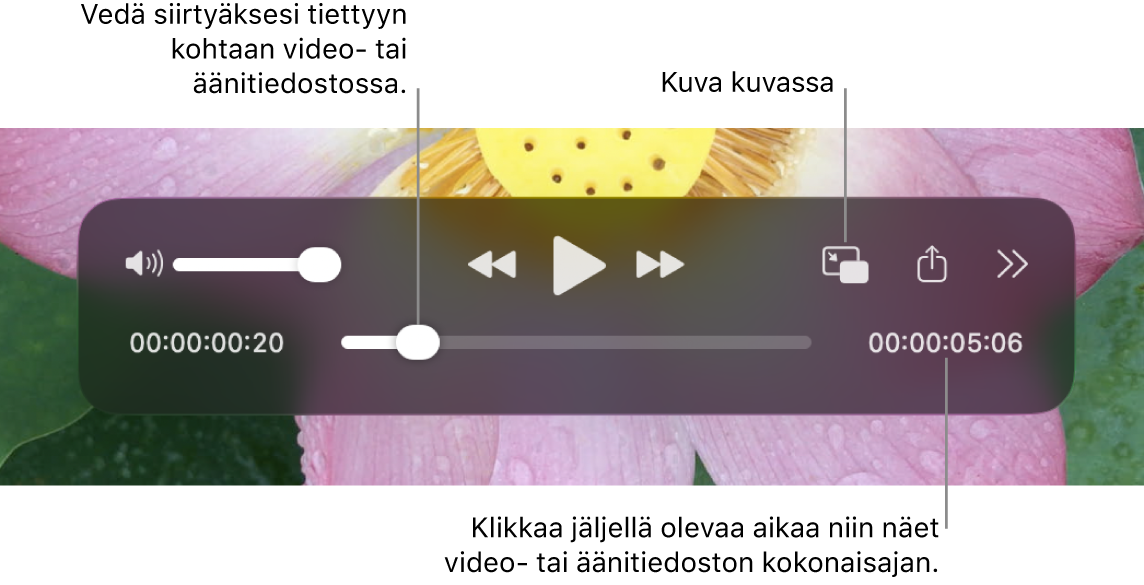 QuickTime Playerin toistosäätimet. Yläreunassa ovat äänenvoimakkuuden säädin, Selaa taaksepäin -painike, Toista/keskeytä-painike, Selaa eteenpäin -painike, ulkoisen toiston valikko, Kuva kuvassa ‑toistopainike ja Lisää säätimiä. Alareunassa on toistopaikka, jota vetämällä voit siirtyä tiettyyn kohtaan tiedostossa. Tiedostossa jäljellä oleva aika näkyy alaoikealla.