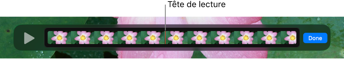 Un plan dans la fenêtre QuickTime Player, avec la tête de lecture proche du centre du plan.