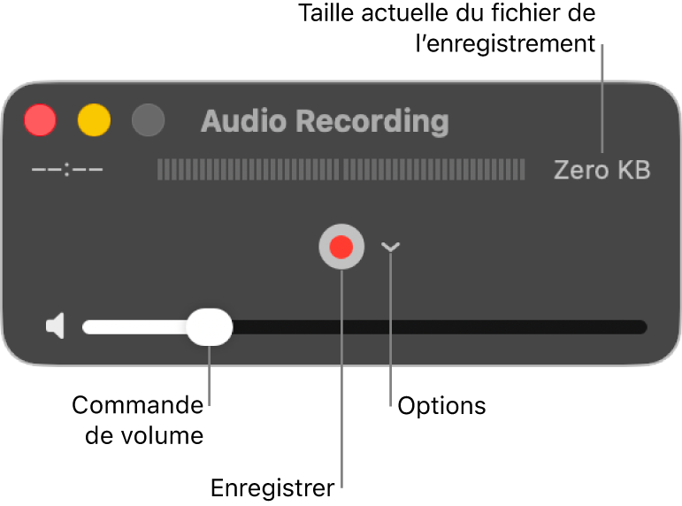 La fenêtre d’enregistrement audio avec le bouton Enregistrer et le menu contextuel Options au centre de la fenêtre, et le contrôle du volume en bas.