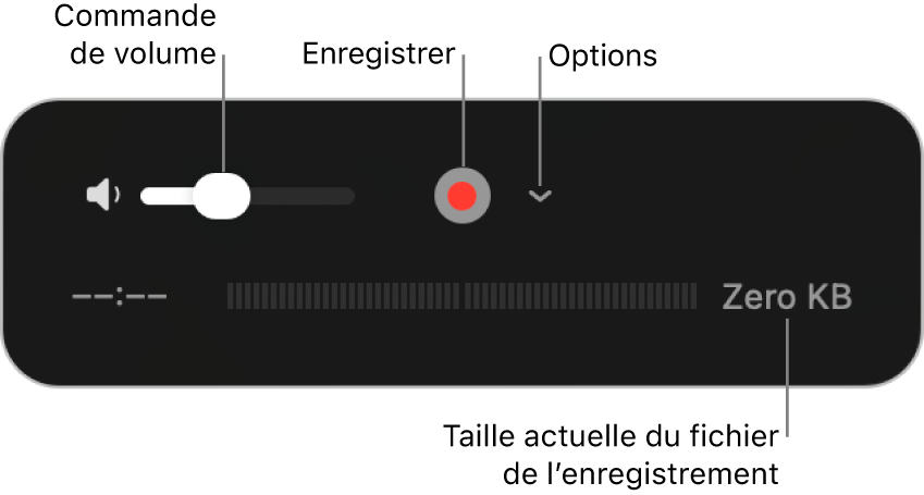 Les commandes d’enregistrement, notamment le contrôle du volume et le bouton Enregistrer, et le menu local Options.