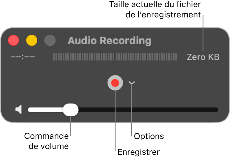 La fenêtre d’enregistrement audio avec le bouton Enregistrer et le menu local Options au centre de la fenêtre, et le contrôle du volume en bas.