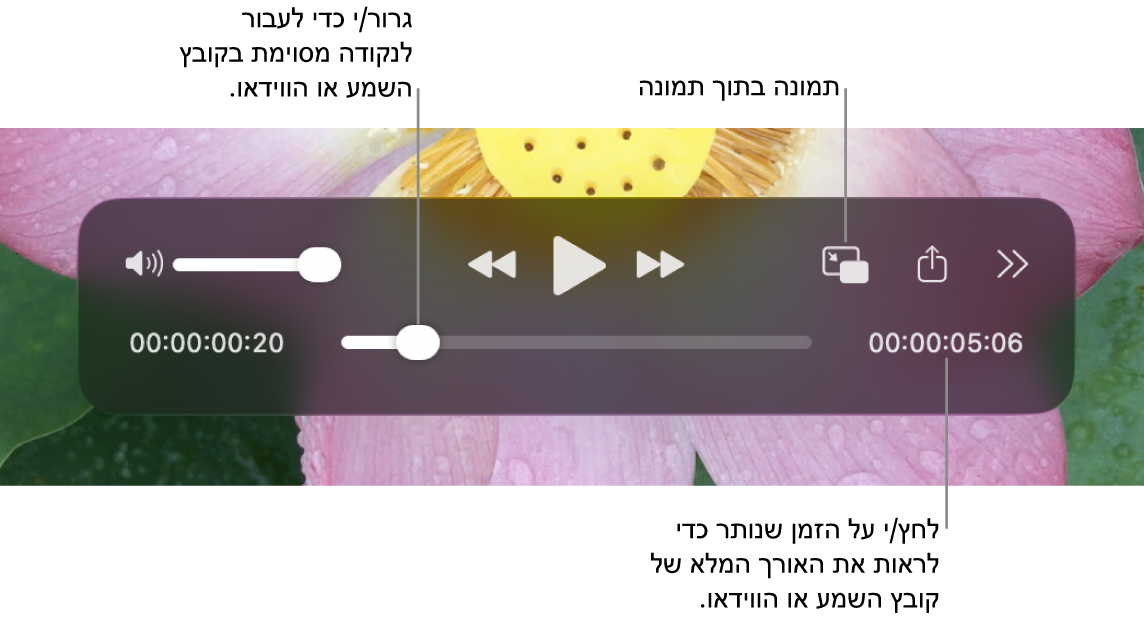 פקדי ההפעלה של QuickTime Player. בחלק העליון אפשר למצוא את בקרת עוצמת הקול; כפתור ההרצה לאחור, כפתור ההפעלה/השהיה, כפתור ההרצה המהירה קדימה; ״תפריט הפעלה חיצונית”, הכפתור ״הפעלה במצב תמונה-בתוך-תמונה״ והכפתור ״פקדים נוספים״. בתחתית נמצא סמן המיקום, וניתן לגרור אותו כדי לעבור לנקודה כלשהי בקובץ. הזמן שנותר בקובץ מופיע למטה מימין.
