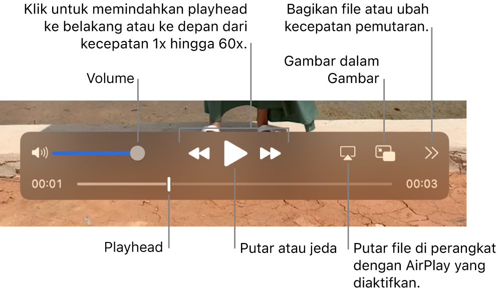 Kontrol untuk volume, putar balik, putar, percepat maju, dan memutar file di perangkat dengan AirPlay yang diaktifkan, dan mengubah kecepatan pemutaran.