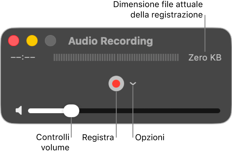 Finestra di “Registrazione audio” con il pulsante Registra e il menu a comparsa Opzioni al centro della finestra e il controllo del volume nella parte inferiore.