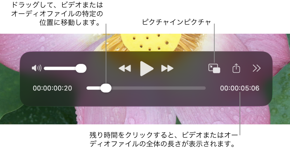 QuickTime Playerの再生コントロール。上部には、音量コントロール、早戻しボタン、再生/一時停止ボタン、早送りボタン、外部再生機器のメニュー、ピクチャインピクチャ再生ボタン、その他のコントロールがあります。下部には再生ヘッドがあり、ドラッグしてファイル内の特定の位置に移動できます。ファイルの残りの時間が右下に表示されています。