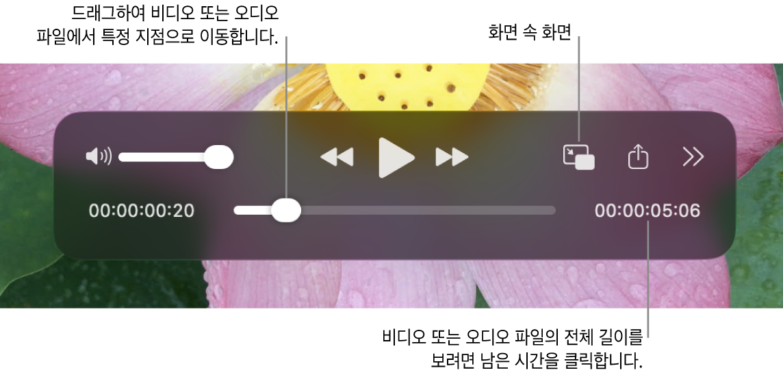 QuickTime Player 재생 제어기. 상단을 따라 음량 제어기, 되감기 버튼, 재생/일시 정지 버튼, 앞으로 빨리감기 버튼, 외장 재생 메뉴, 화면 속 화면 재생 버튼 및 제어 항목 더 보기가 있음. 하단에는 드래그하여 파일의 특정 위치로 이동할 수 있는 재생헤드가 표시되어 있음. 파일의 남은 시간이 오른쪽 하단에 나타납니다.
