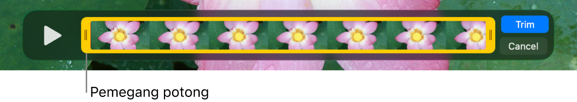 Klip dalam tetingkap QuickTime Player, menunjukkan sebahagian klip dilampirkan dalam pemegang kuning dan bahagian lain diluar pemegang kuning. Butang Pangkas dan butang Batal di sebelah kanan.