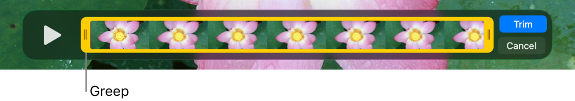 Een fragment in het venster van QuickTime Player, met een deel van het fragment tussen de gele grepen en de rest van het fragment buiten de gele grepen. Rechts staan de knoppen 'Kort in' en 'Annuleer'.