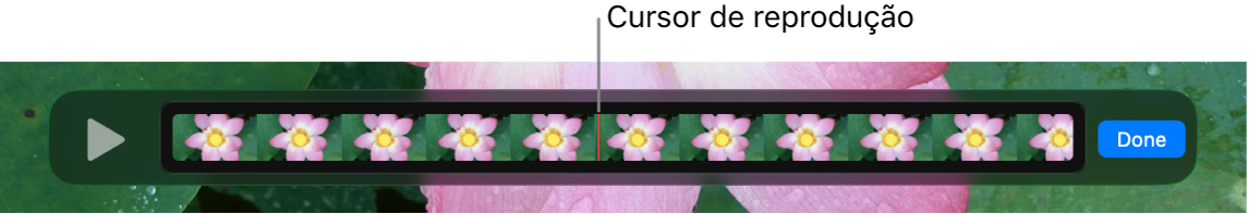 Um clipe na janela do QuickTime Player, com o cursor de reprodução perto do seu centro.