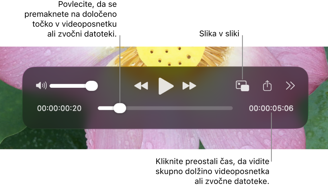 Krmilne funkcije predvajanja v pripomočku QuickTime Player. Na vrhu so razvrščeni kontrolnik za glasnost, gumb za previjanje nazaj, gumb za predvajanje/začasno ustavitev, gumb za previjanje naprej, meni za zunanje predvajanje, gumb za predvajanje slike v sliki in gumb za več krmilnih funkcij. Na dnu je položaj predvajanja, ki ga lahko povlečete na določeno mesto v datoteki. V spodnjem desnem delu je prikazan preostali čas predvajanja datoteke.
