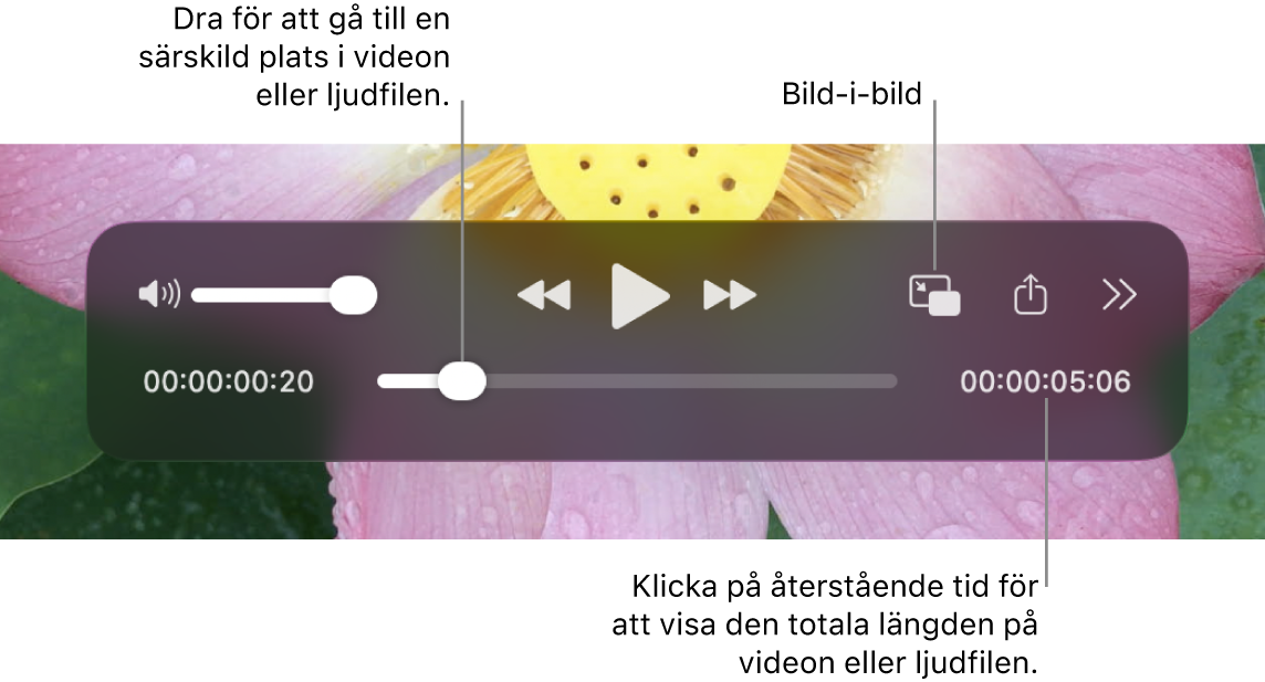 Uppspelningsreglage i QuickTime Player. Längs överkanten finns volymreglaget, knappen för bakåtspolning, knappen för uppspelning/paus, knappen för framåtspolning, knappen för extern uppspelning, knappen för bild-i-bild-uppspelning och knappen Fler reglage. Längst ned finns uppspelningshuvudet som du kan dra i för att gå till en viss plats i filen. Den återstående tiden i filen visas i det nedre högra hörnet.