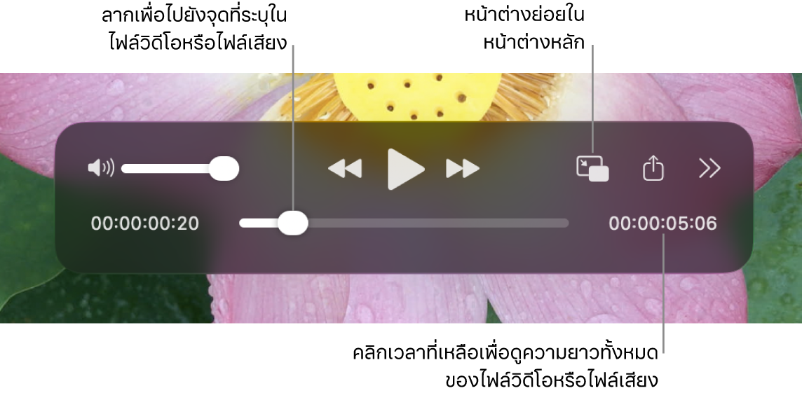 ตัวควบคุมการเล่น QuickTime Player จากด้านบนสุดคือตัวคุมควบระดับเสียง ปุ่มเลื่อนถอยกลับ ปุ่มเล่น/หยุดพัก ปุ่มเลื่อนไปข้างหน้าอย่างเร็ว ปุ่มเมนูการเล่นภายนอก ปุ่มการเล่นหน้าต่างย่อยในหน้าต่างหลัก และปุ่มตัวควบคุมเพิ่มเติม ด้านล่างสุดคือตัวชี้ตำแหน่ง ซึ่งคุณสามารถลากไปที่จุดที่ระบุเฉพาะในไฟล์ได้ เวลาที่เหลืออยู่ในไฟล์แสดงขึ้นที่ด้านขวาล่างสุด