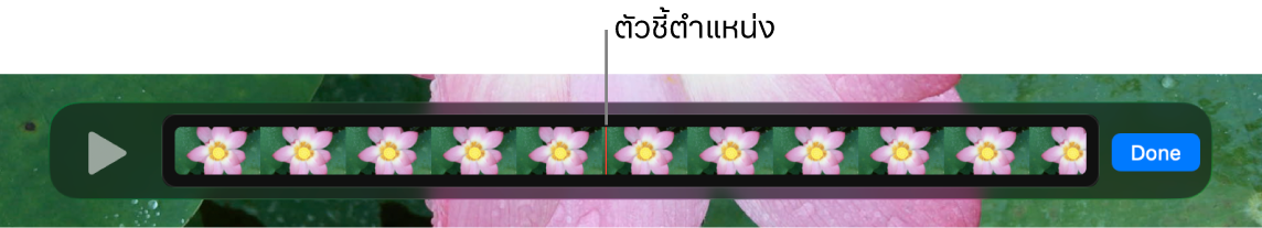 คลิปในหน้าต่าง QuickTime Player ซึ่งมีตัวชี้ตำแหน่งอยู่บริเวณกึ่งกลางของคลิป