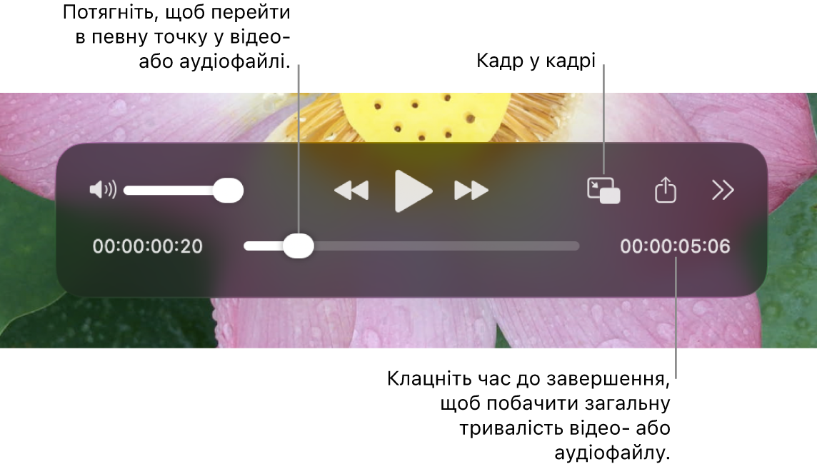 Елементи керування відтворенням QuickTime Player. У верхній частині зображено послідовно елементи керування гучністю, кнопка перемотування назад, кнопка відтворення/паузи, кнопка перемотування вперед, меню зовнішнього відтворення, кнопка відтворення «Кадр у кадрі» та кнопка «Додаткові елементи керування». Внизу є бігунок, який можна перетягувати, щоб перейти до певного місця в файлі. Справа внизу показано час до кінця файлу.