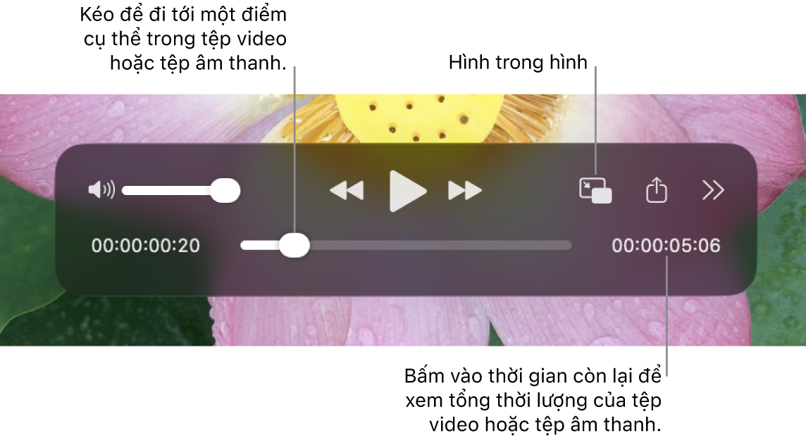 Các điều khiển phát lại của QuickTime Player. Dọc theo cạnh trên là điều khiển âm lượng, nút Tua lại, nút Phát/Tạm dừng, nút Tua đi nhanh, menu Phát lại bên ngoài, nút Phát lại hình trong hình và Điều khiển khác. Ở dưới cùng là đầu phát mà bạn có thể kéo để đi tới điểm cụ thể trong tệp. Thời gian còn lại trong tệp sẽ xuất hiện ở dưới cùng bên phải.
