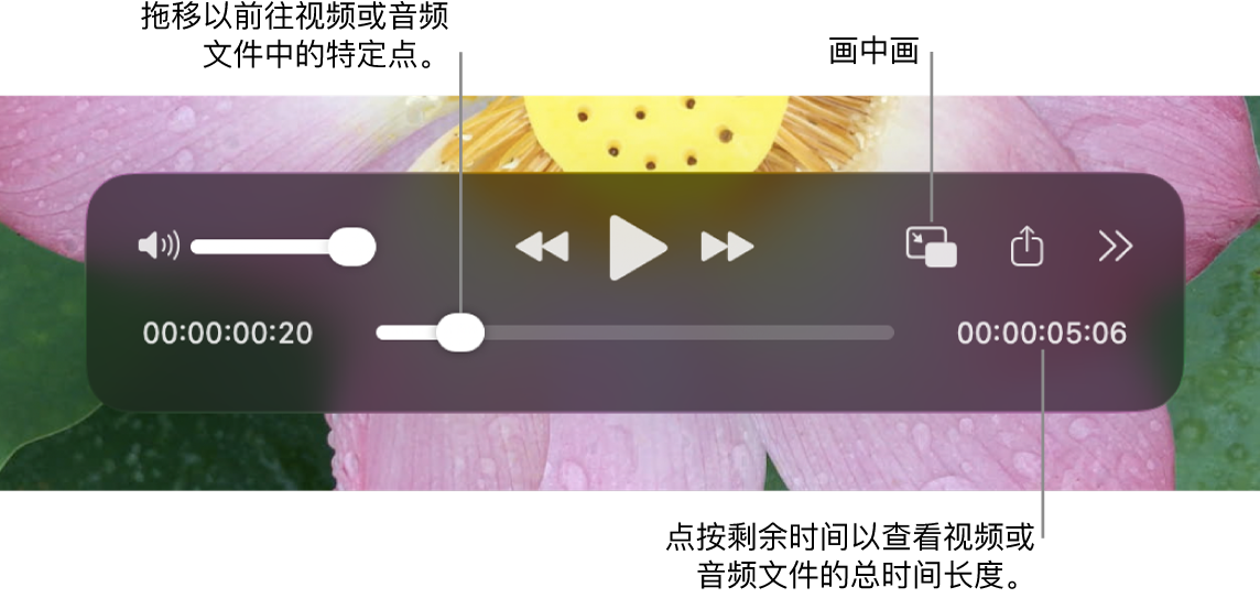 QuickTime Player 播放控制。顶部是音量控制、“倒回”按钮、“播放/暂停”按钮、“快进”按钮、外部播放菜单、“画中画播放”按钮以及“更多”控制。底部是播放头，拖移可前往文件中的特定点。文件的剩余时间显示在右下方。
