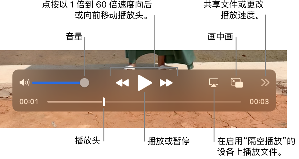 含音量、倒回、播放、快进、在支持隔空播放的设备上播放文件以及更改播放速度的控制。