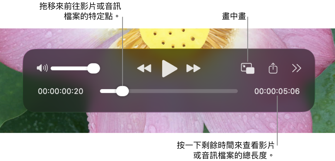 QuickTime Player 播放控制項目。 沿着最上方分別為音量控制、「回帶」按鈕、「播放/暫停」按鈕、「快轉」按鈕、「外部播放選單」、「畫中畫播放」按鈕，以及「更多控制項目」。 底部是播放磁頭，讓你在檔案中拖移至特定點。 檔案剩餘時間會顯示在右側下方。
