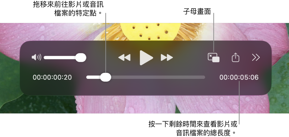 QuickTime Player 播放控制項目。沿著最上方分別為音量控制、「倒轉」按鈕、「播放/暫停」按鈕、「快轉」按鈕、「外部播放選單」、「子母畫面播放」按鈕和「更多控制項目」。底部則為播放磁頭，可供你拖移來移至在檔案中的特定點。檔案剩餘時間會顯示在右側下方。