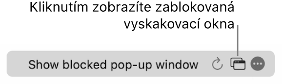 Dynamické vyhledávací pole s tlačítkem pro zobrazení zablokovaných vyskakovacích oken.