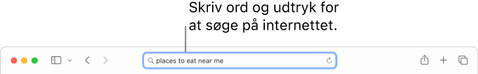 Det smarte søgefelt, der er placeret midt på værktøjslinjen i Safari.