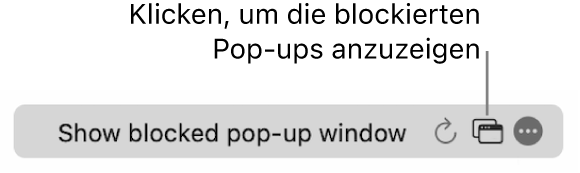 Das intelligente Suchfeld mit einer Taste, um blockierte Pop-up-Fenster anzuzeigen.