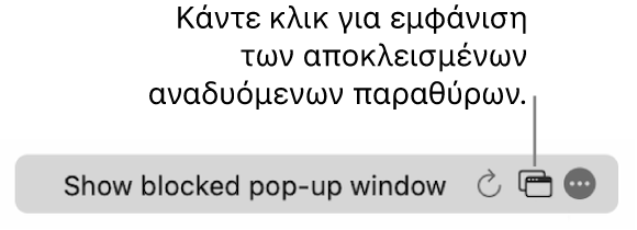 Το πεδίο Έξυπνης αναζήτησης με ένα κουμπί για εμφάνιση των αποκλεισμένων αναδυόμενων παραθύρων.