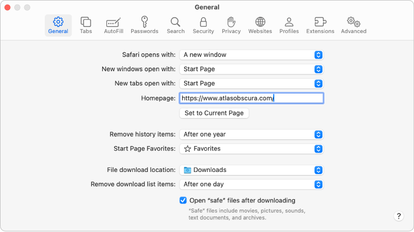 General settings for Safari web pages, with the current web page selected as the Homepage.
