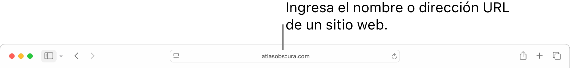 El campo de búsqueda inteligente de Safari, en donde puedes ingresar el nombre o la URL de un sitio web.