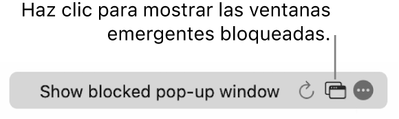 El campo de búsqueda inteligente con un botón para mostrar las ventanas emergentes bloqueadas.