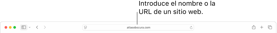 El campo de búsqueda inteligente de Safari, donde puedes escribir el nombre o la URL de un sitio web.