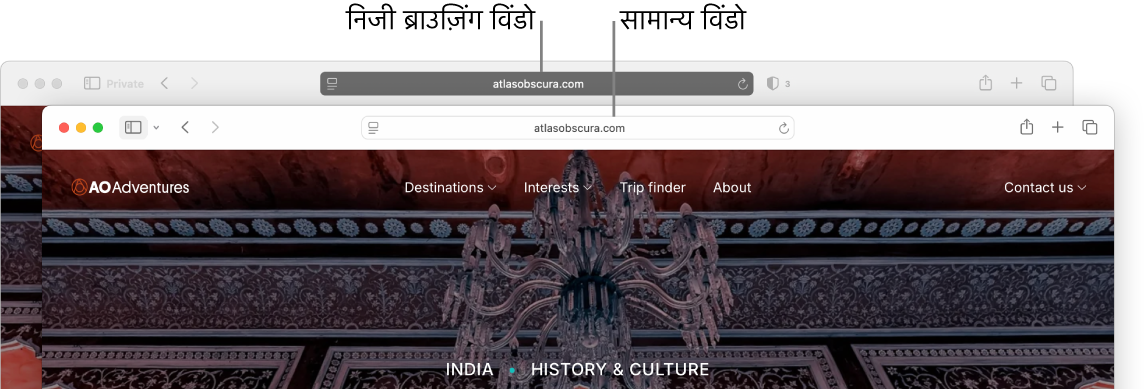 निजी Safari विंडो में गहरे रंग का स्मार्ट खोज फ़ील्ड और सामान्य Safari विंडो में हल्के रंग का स्मार्ट खोज फ़ील्ड।