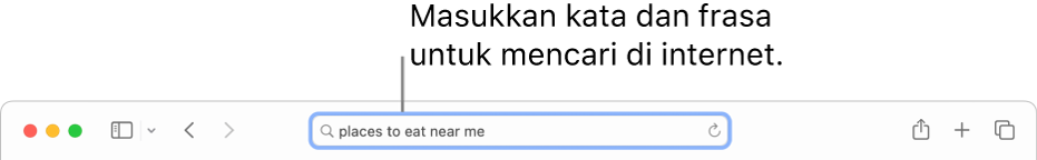 Bidang Pencarian Cerdas, terletak di bagian tengah bar alat Safari.