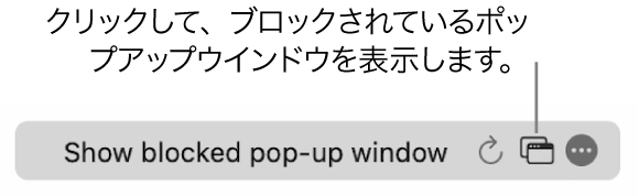 スマート検索フィールド。ブロックされているポップアップウインドウを表示するボタンがあります。