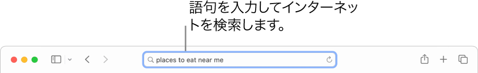 スマート検索フィールド。Safariツールバーの中央にあります。