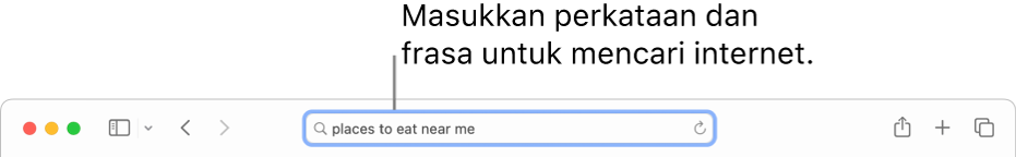 Medan Carian Pintar berada di tengah bar alat Safari.