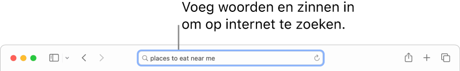 Het slimme zoekveld in het midden van de Safari-knoppenbalk.
