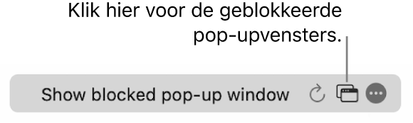 Het slimme zoekveld met een knop om het aantal geblokkeerde pop‑upvensters te tonen.