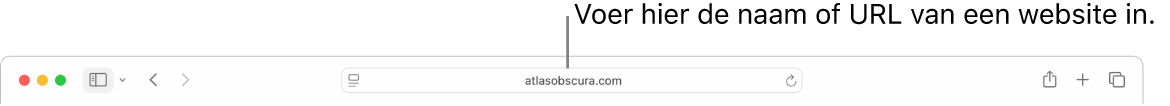 Het slimme zoekveld van Safari, waarin je de naam of URL van een website kunt typen.