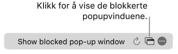 Det smarte søkefeltet med en knapp for å vise blokkerte popupvinduer.