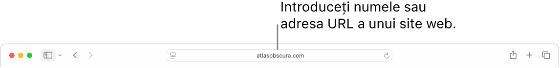 Câmpul de căutare inteligentă Safari, unde puteți introduce numele sau adresa URL a unui site web.