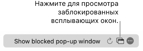 Поле смарт‑поиска с кнопкой просмотра заблокированных всплывающих окон.
